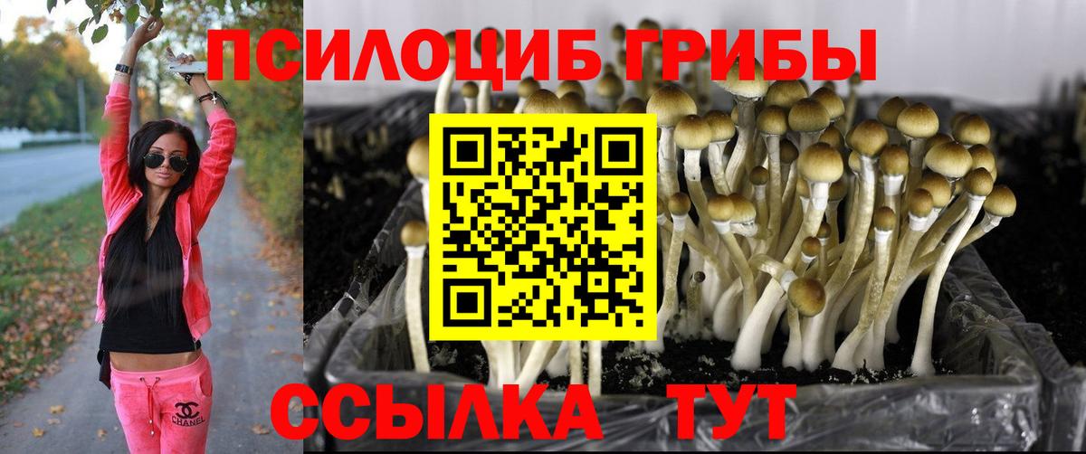 Псилоцибиновые грибы Magic Shrooms  Вход с VPN  Советский 