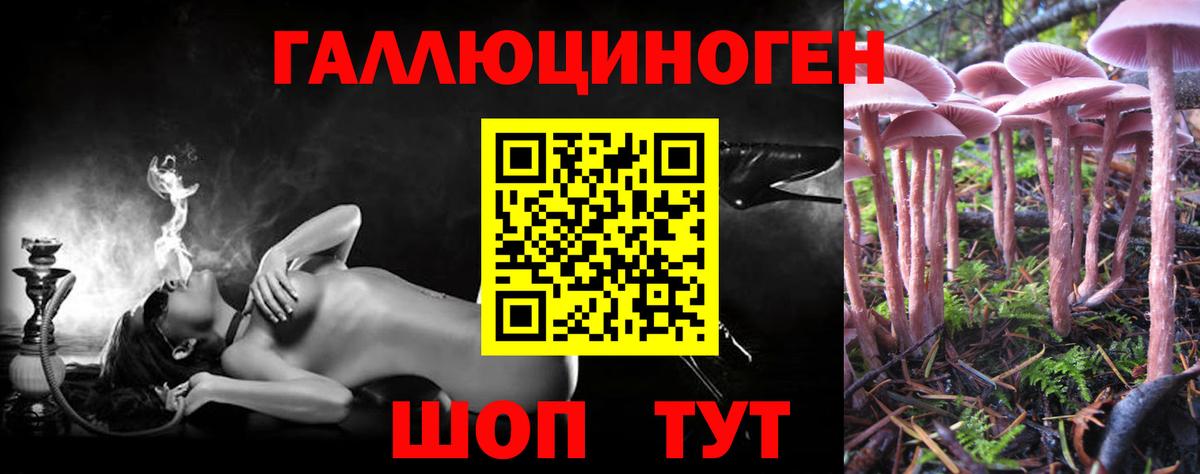 Галлюциногенные грибы GOLDEN TEACHER Советский